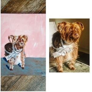 Pet portraits